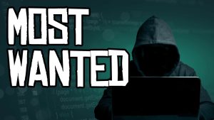 polscy programiści poszukiwani