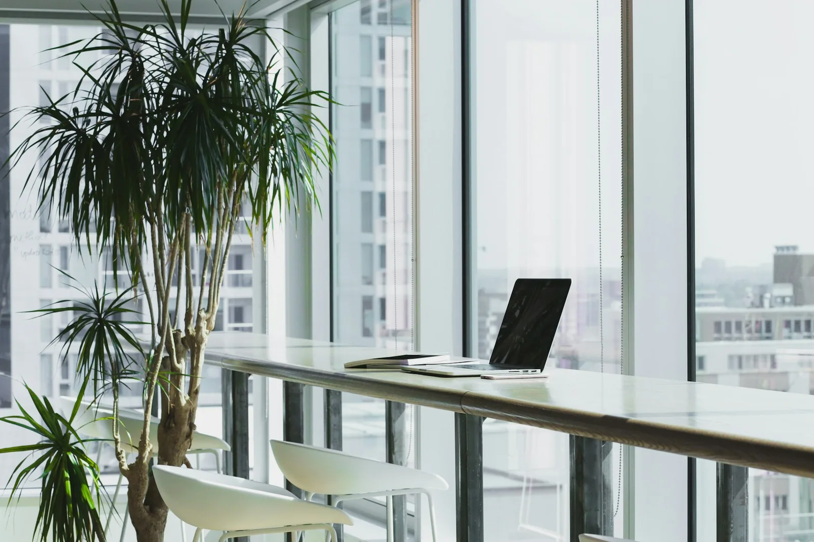 Bright office workspace with tall windows, plants and a laptop on a high counter